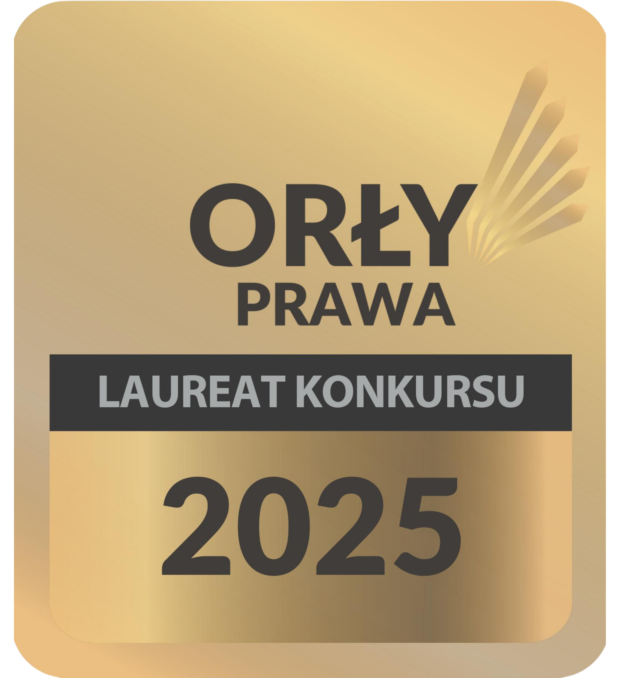 Orły Prawa - Adwokat Amadeusz Czachorowski
